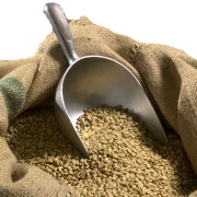 Coffee Green Bean